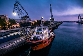 Export Training and Coaching